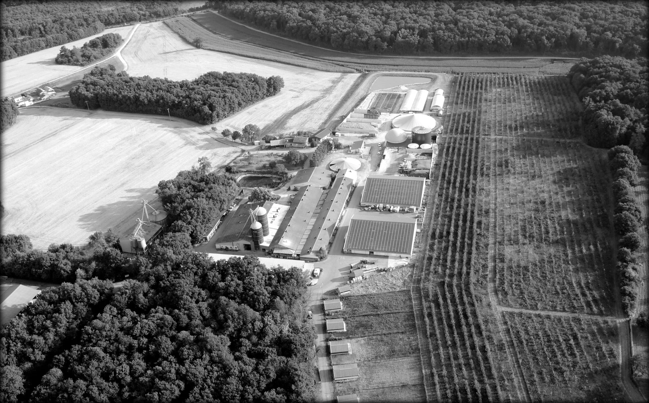 Vue aérienne de l'exploitation La Baie des Champs à Sèvres-Anxaumont près de Poitiers